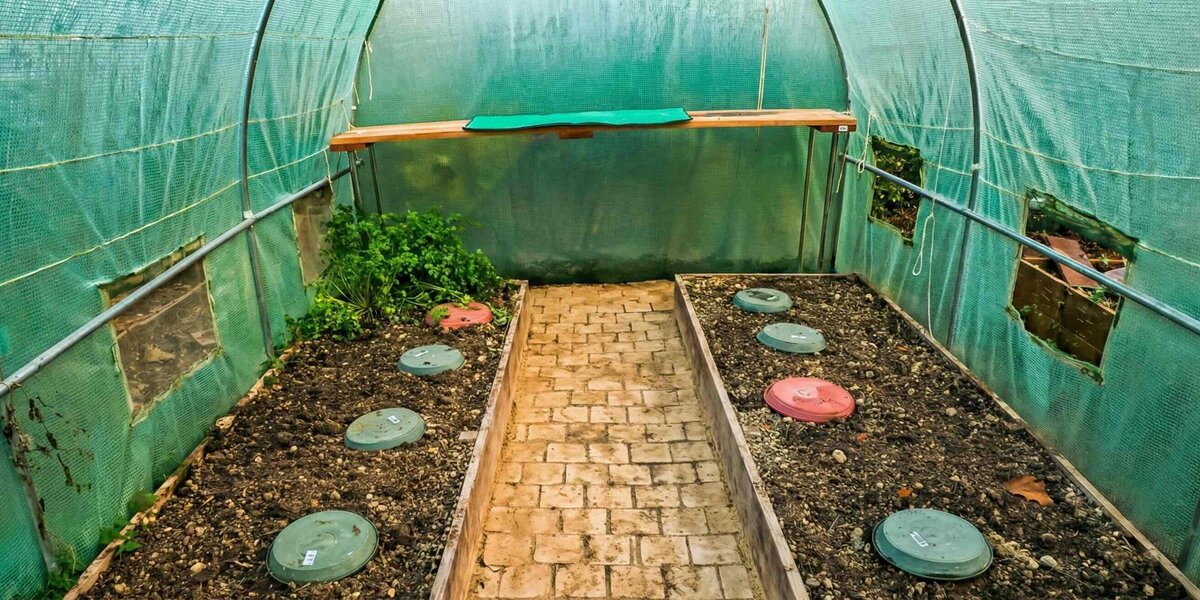 Serre de jardin bien entretenue prête pour la nouvelle saison, potager breton en arrière-plan.