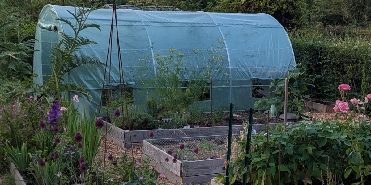 Jardin potager breton en été avec arbustes fruitiers et serre tunnel en arrière-plan.